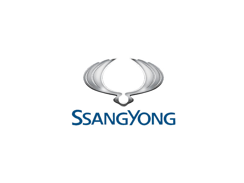 A Korean Carmaker America Almost Met